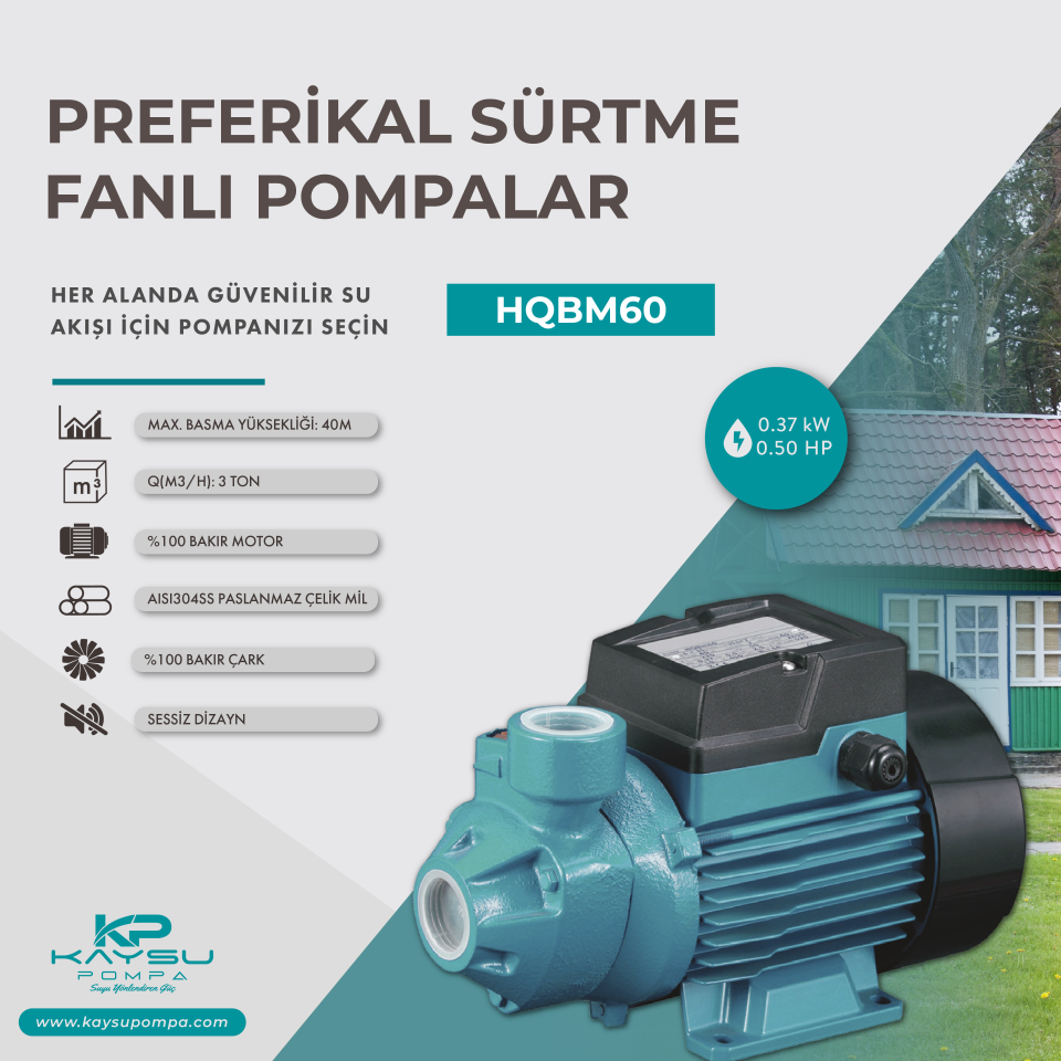 Kaysu Sürtme Fanlı Pompa - HQBM60 - 0.37kW - 0.50 HP