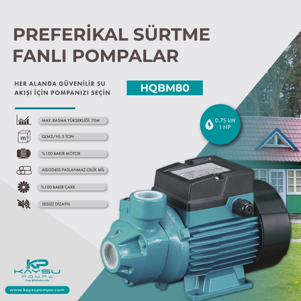 Kaysu Sürtme Fanlı Pompa - HQBM80 - 0.75kW - 1 HP