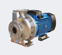 WTX 125-200/45 - AISI316 Yatay Monoblok Tek Kademeli Paslanmaz Çelik Pompa