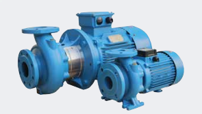 Ebitt WTM 80-125/7.5 - Monoblok Yatay Tip Tek Kademeli Santrifüj Pompası