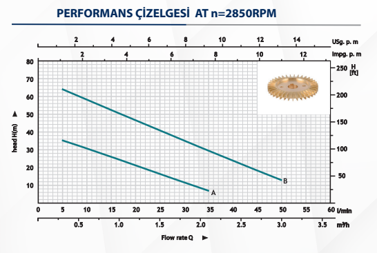 Hazel Sürtme Fanlı Pompa H - HQBM60 - 0.37kW - 0.50 HP