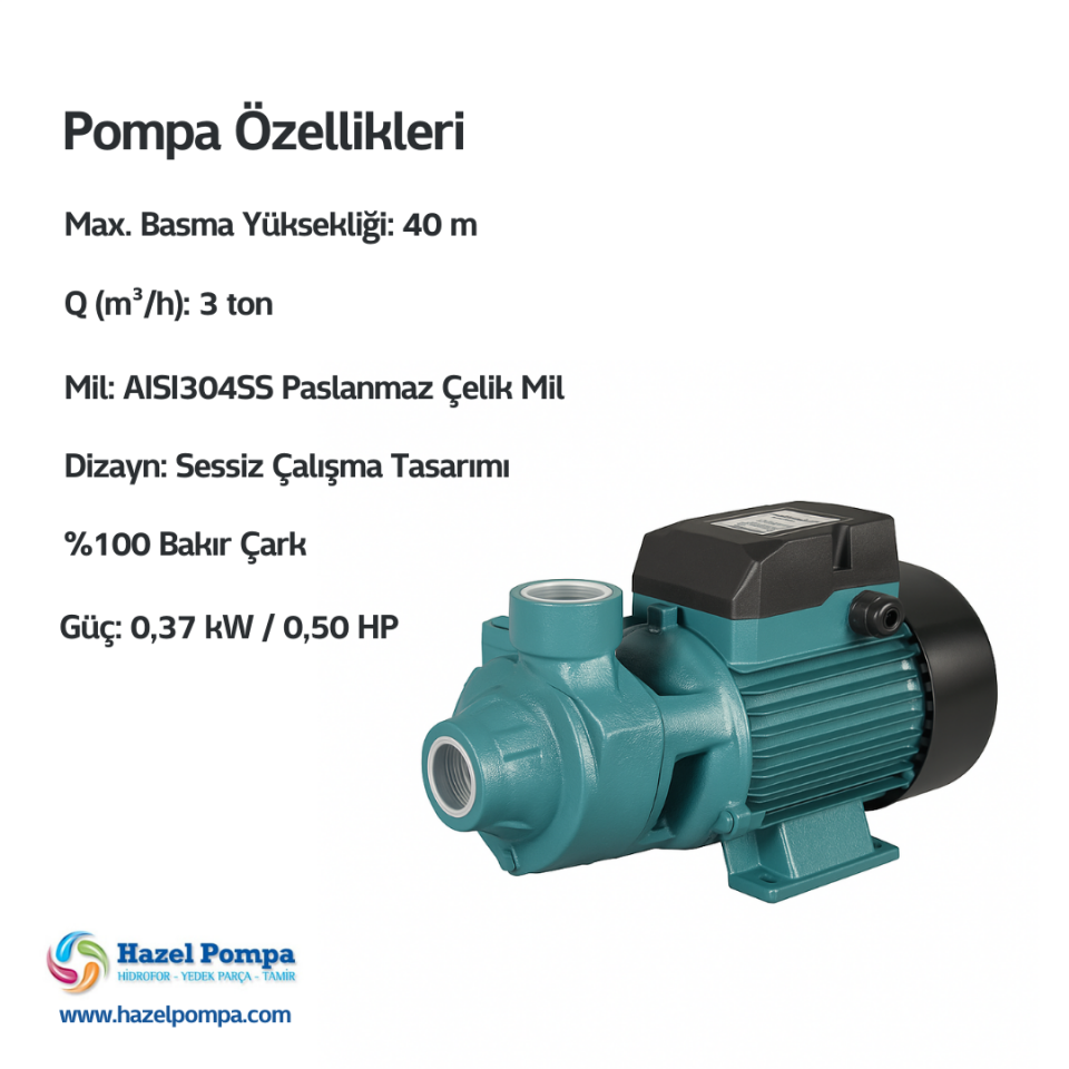 Hazel Sürtme Fanlı Pompa H - HQBM60 - 0.37kW - 0.50 HP
