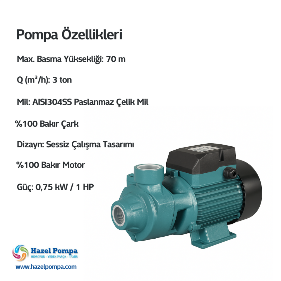 Hazel Sürtme Fanlı Pompa H-HQBM80 - 0.75kW - 1 HP
