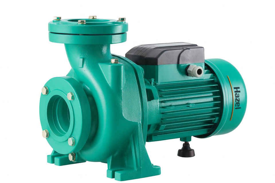 Hazel TNF 130 2.2 kW 3 HP Sulama Pompası
