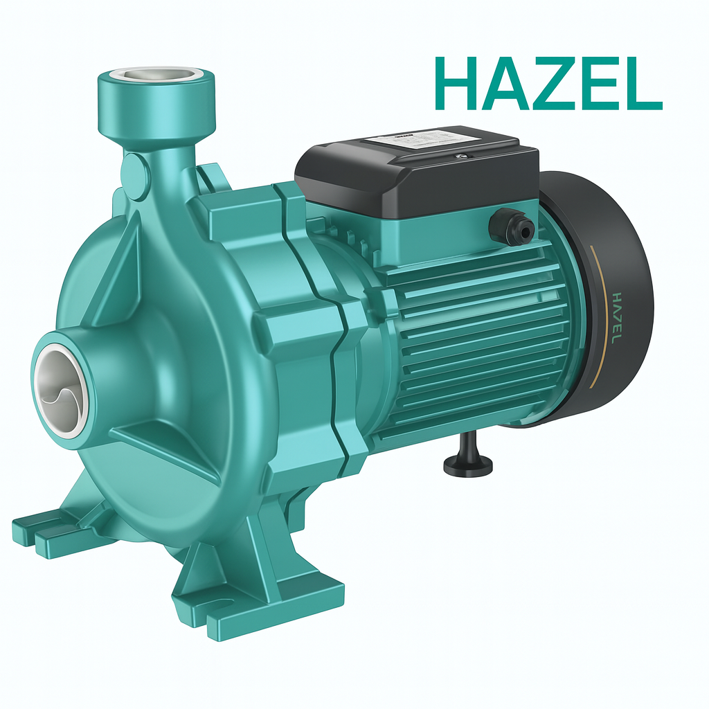 Hazel TGA1C 0.75 kW 1 HP Çift Fanlı Santrifüj Sulama Pompası