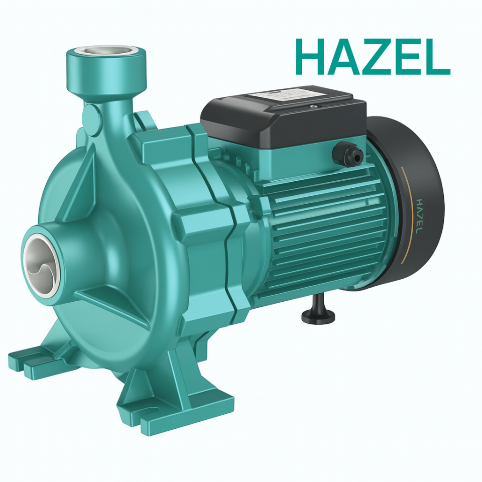 Hazel THF6C 0.95 kW 1.3 HP Çift Fanlı Santrifüj Sulama Pompası