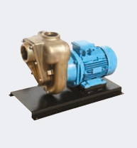 Ebitt B-SPG 3''-7,5-2P-BRONZE Bronz Gövdeli Yüksek Devirli Tek Kademeli Santrifüj Pompa